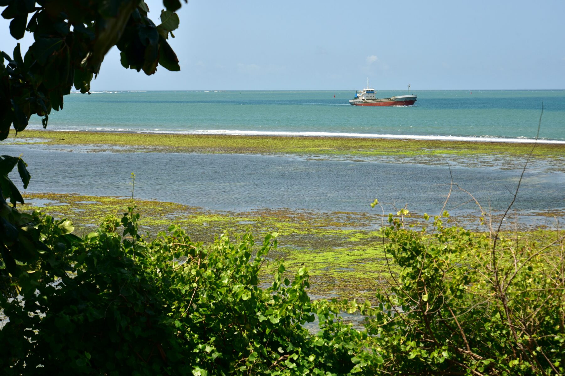 A small coastal cargo ship anchored off a green shoreline near Mombasa, Kenya
