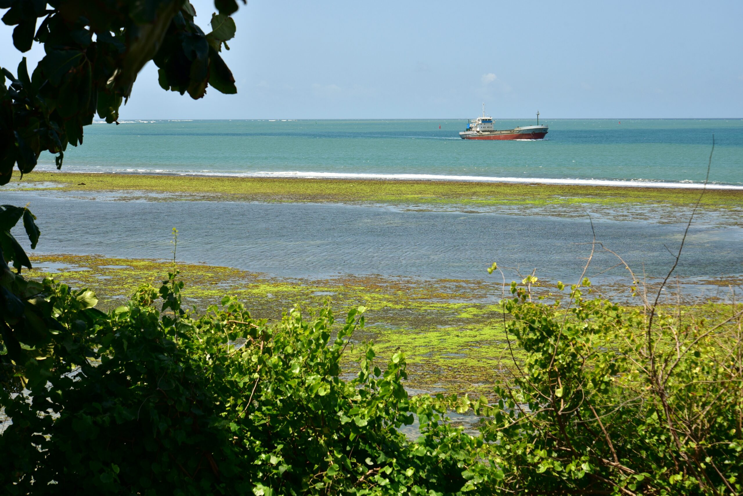 Fumba port set to boost Zanzibar trade as TRA plans modern cargo scanner