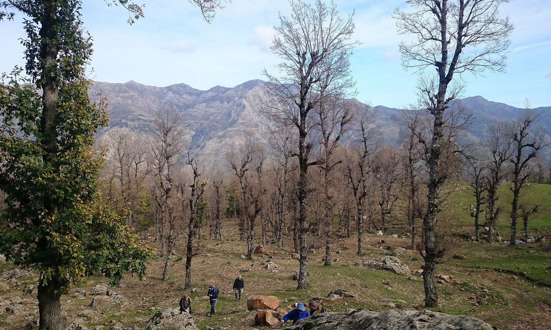 The forested hills of Algeria's north-east, where last week's wildfires killed twelve people