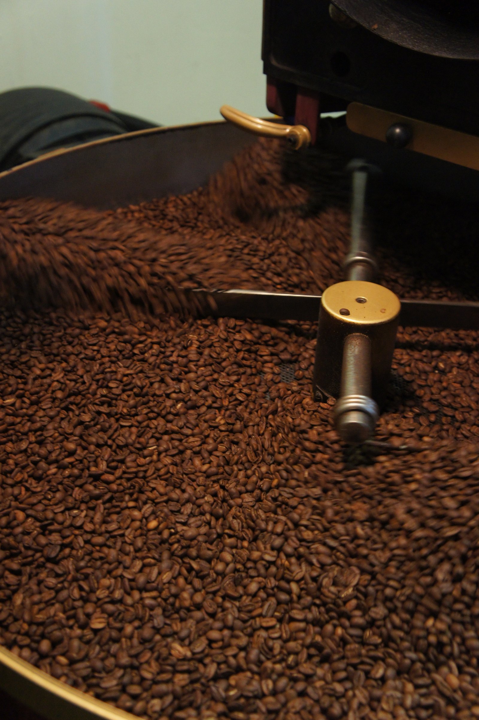 Roasted coffee beans in a roaster.