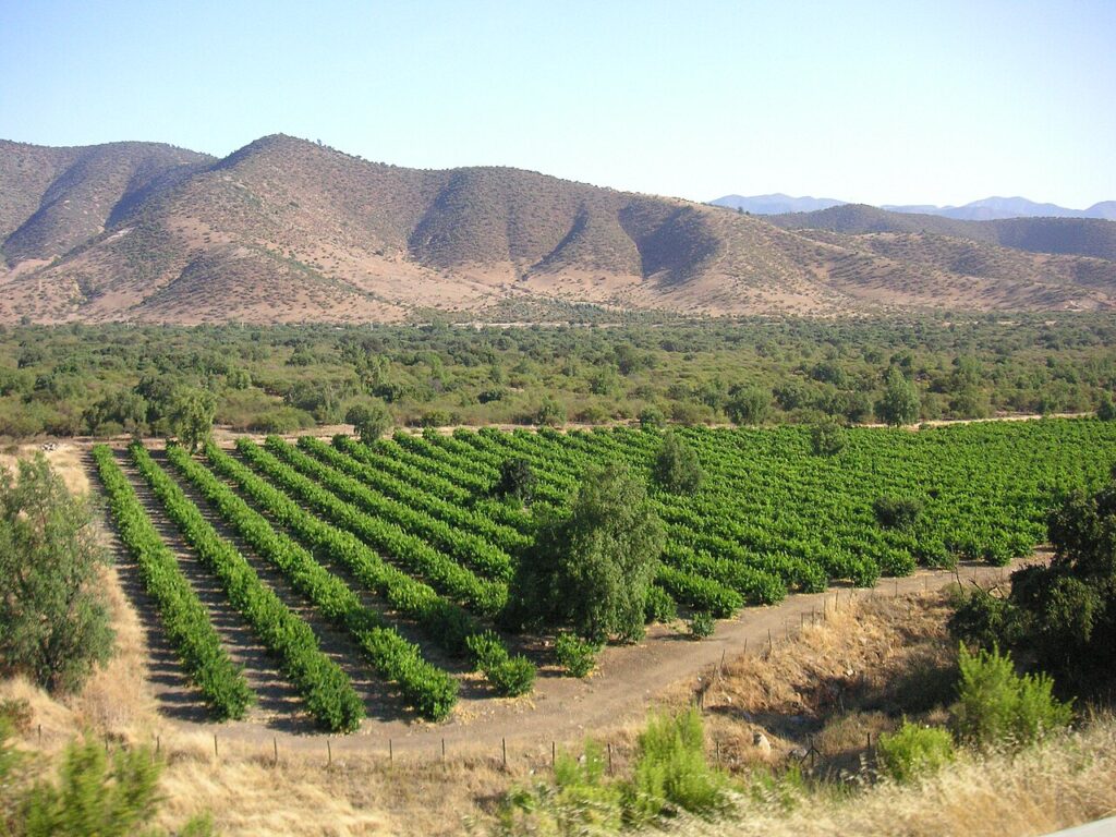 Santiago to Host World's 50 Best Vineyards 2026 for the First Time