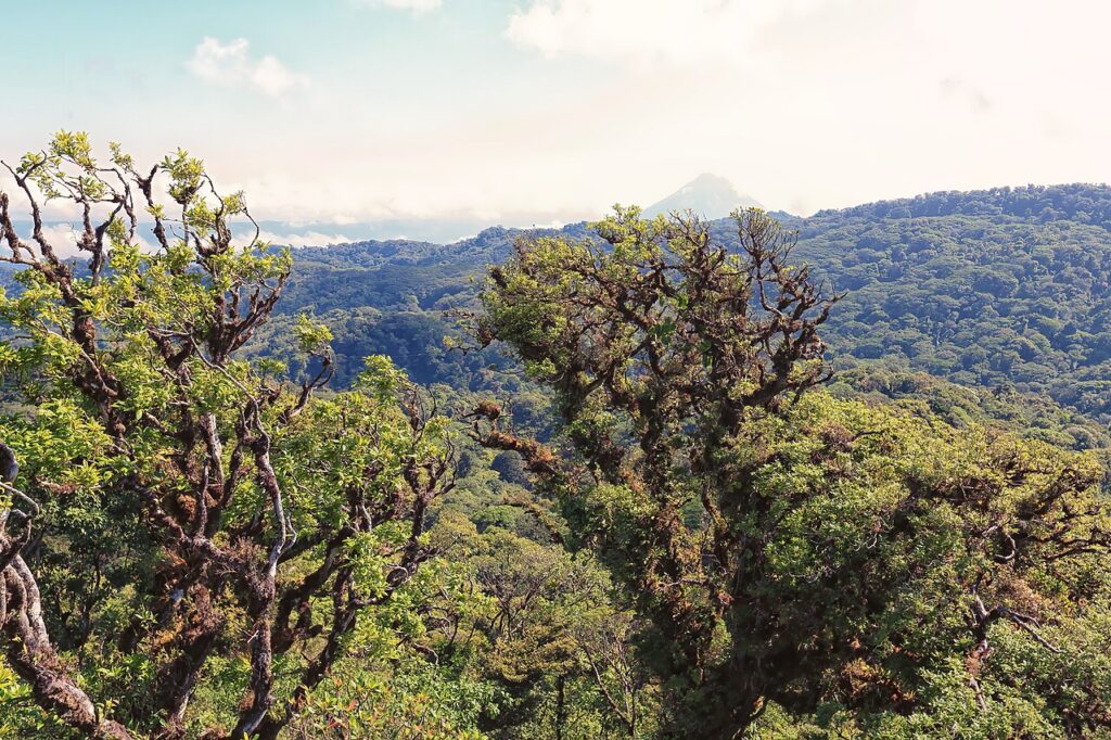 Forbes Spain Courts European Tourists with Multi-Page Costa Rica Feature