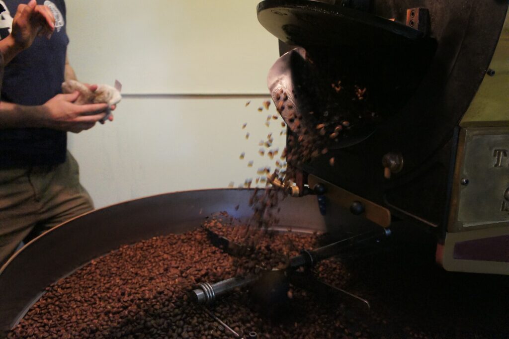 Roasted coffee beans tumbling inside a rotating drum roaster