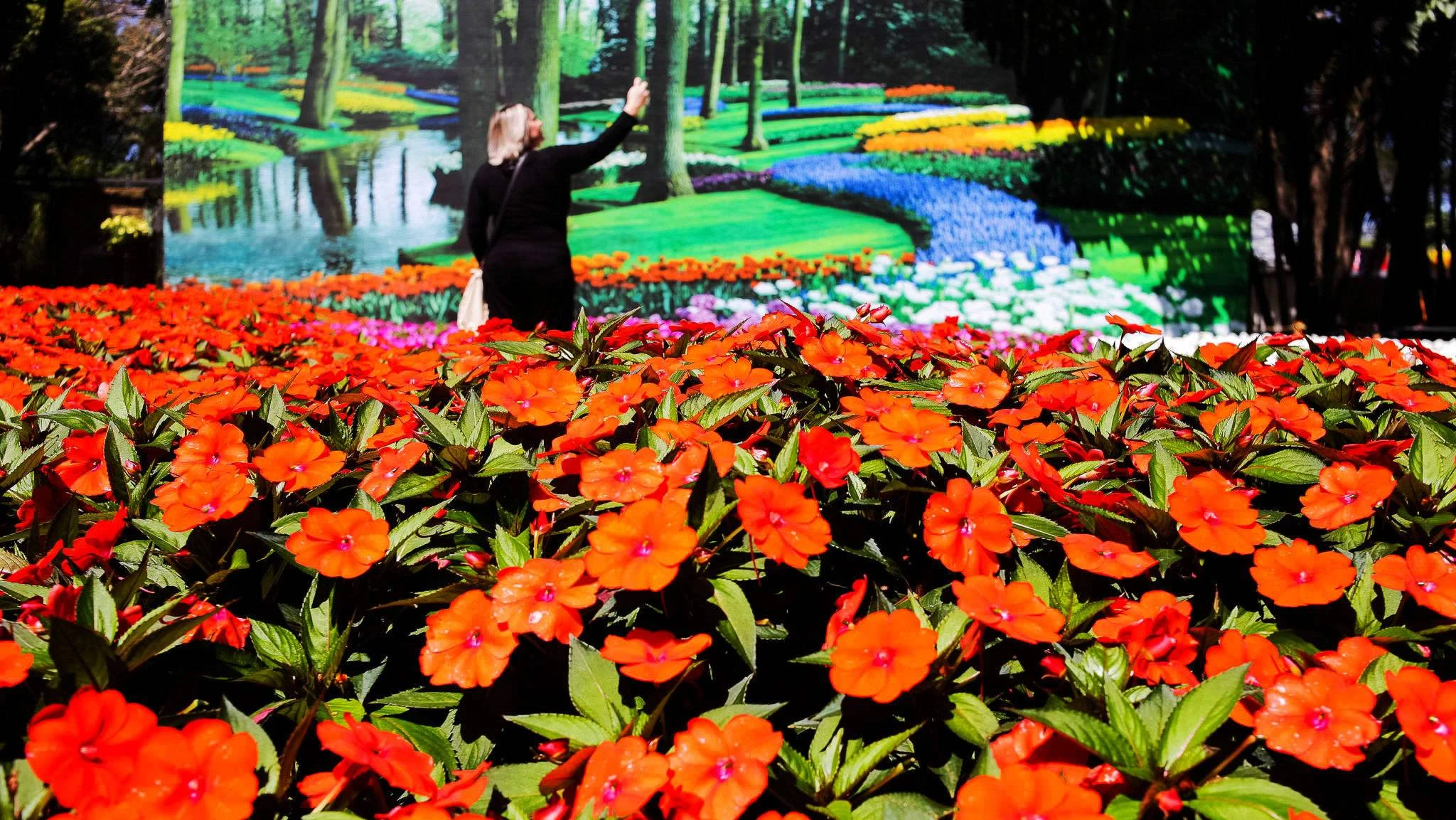 Flower displays at Expoflora in Holambra, Latin America's largest ornamental flower fair