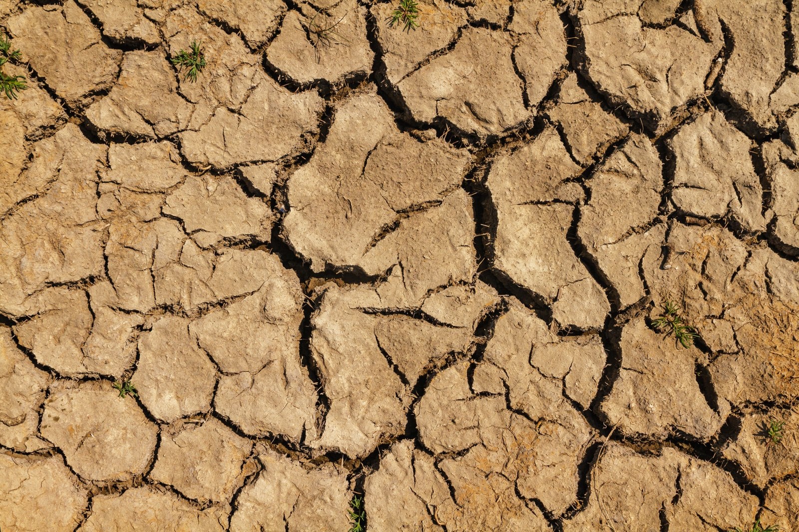 Drought-cracked farmland, illustrating the El Niño food crisis in Central America