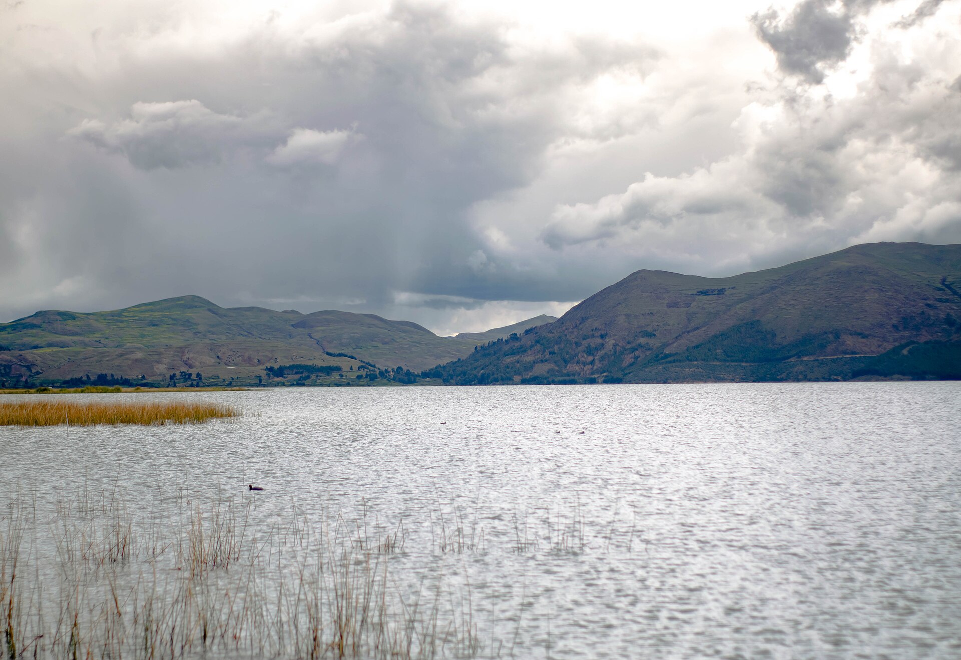Laguna de Pomacanchi, one of the highland lagoons on Cusco's new Alto Andino route