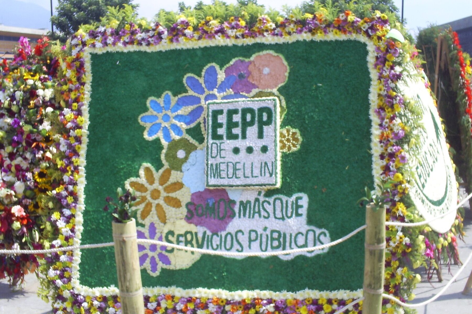 A silletero carrying a traditional flower arrangement in Medellín's Desfile de Silleteros