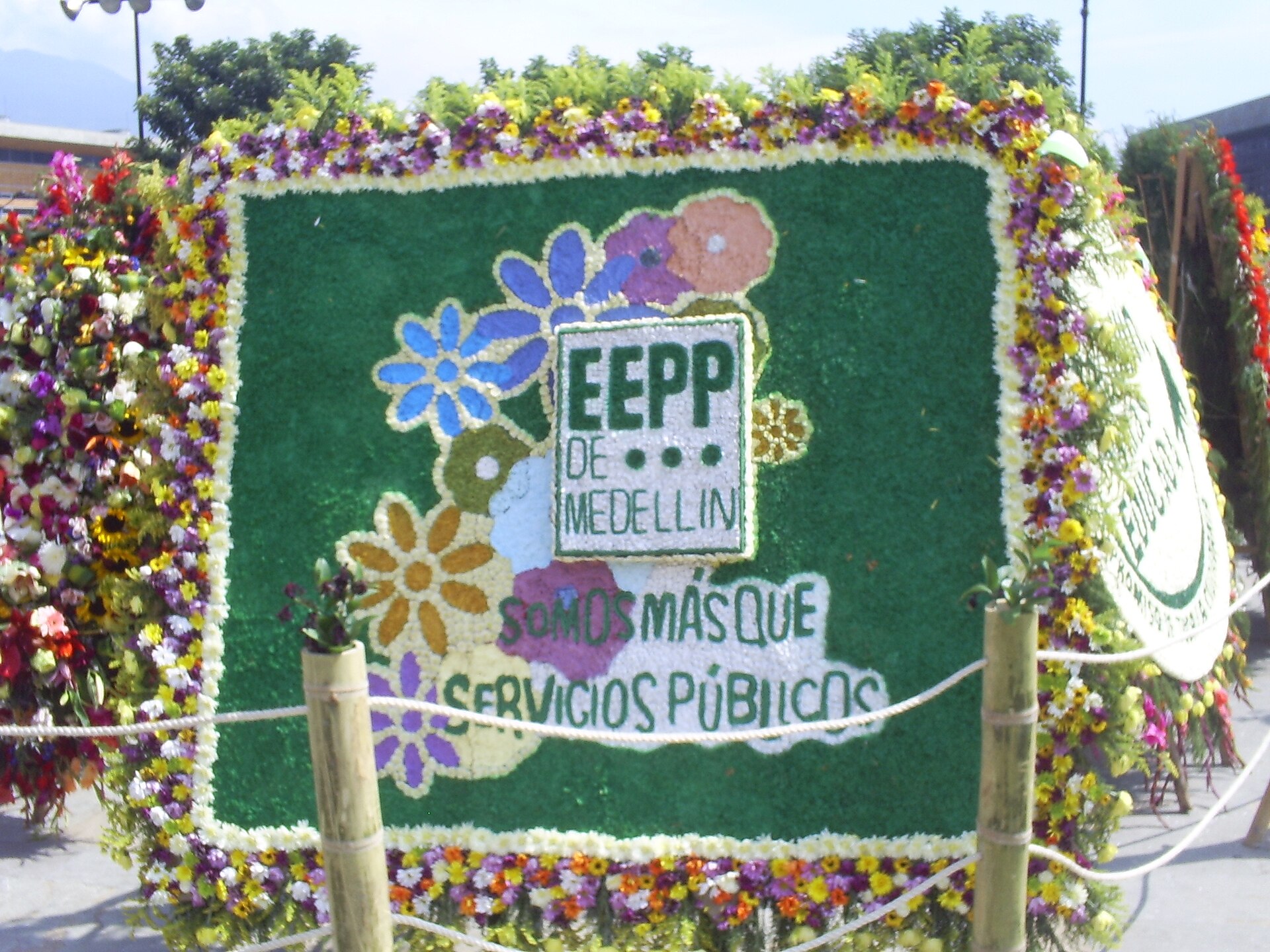 A silletero carrying a traditional flower arrangement in Medellín's Desfile de Silleteros