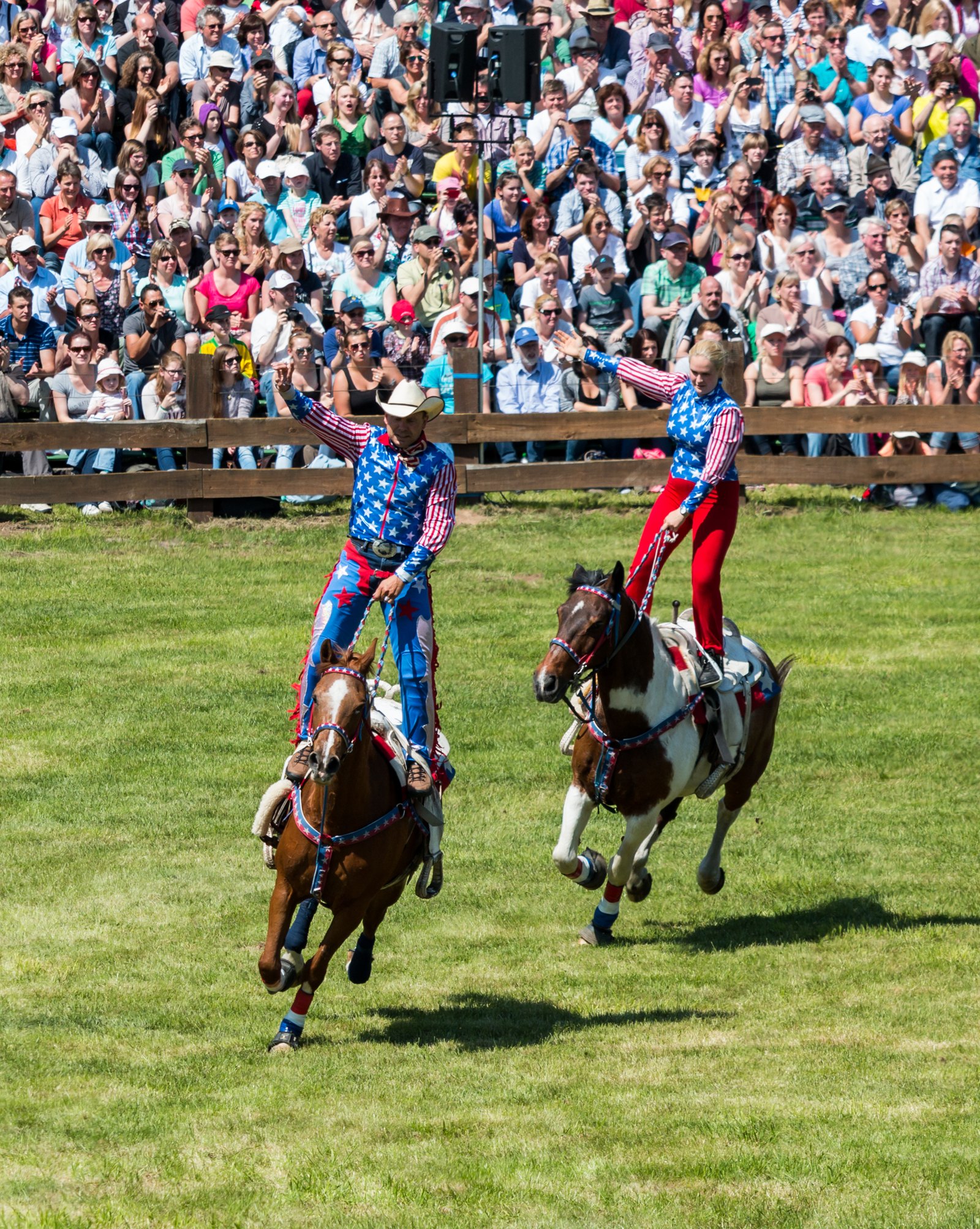 Performers entertain a crowd at an outdoor family show.