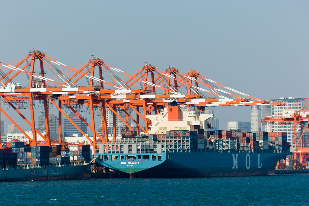 Container ship being worked by gantry cranes at a container terminal, illustrating the global economy briefing