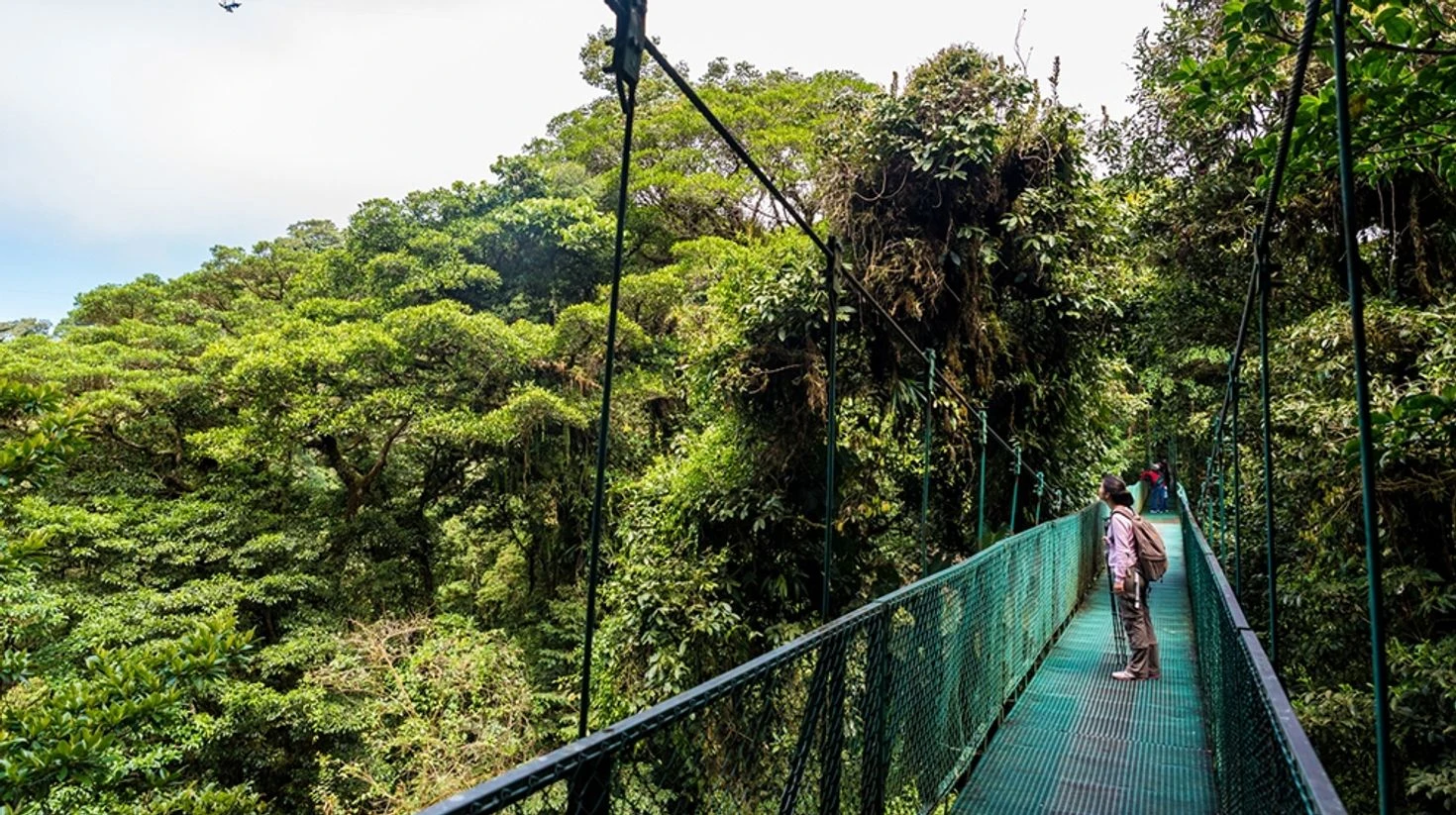 hanging-bridge-in-costa-rica