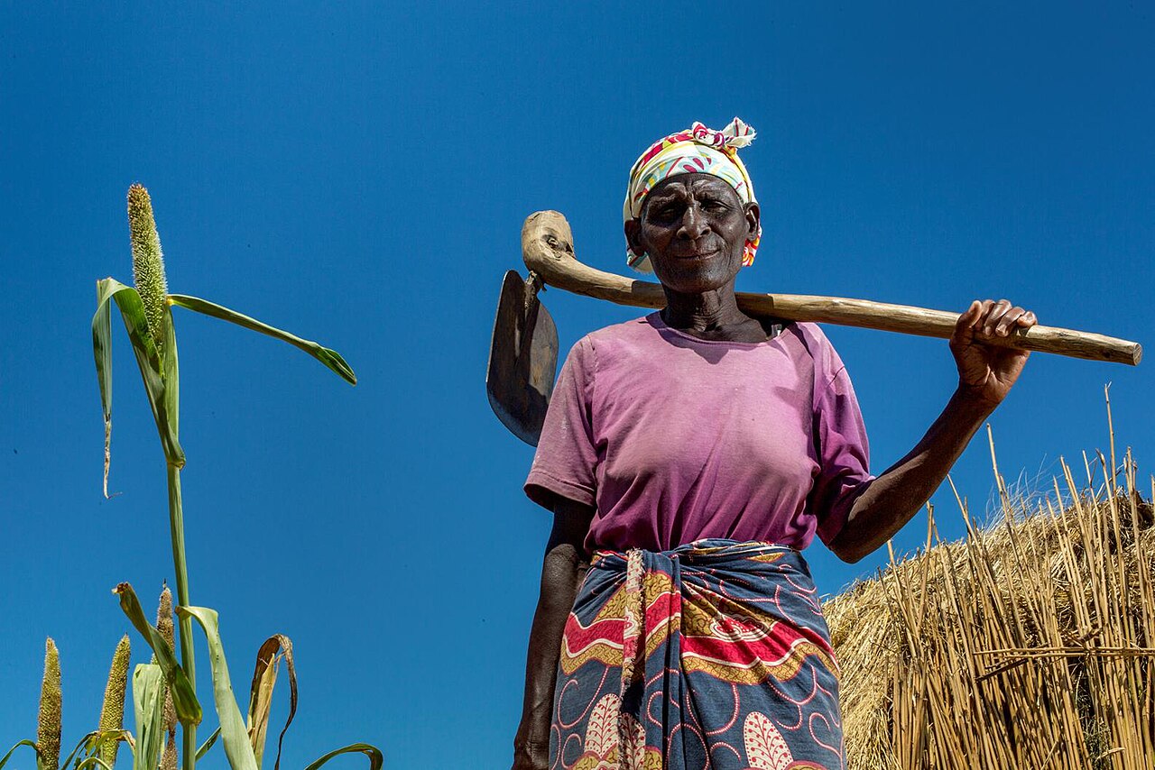 A farmer stands in her field in Chikwawa District, Malawi