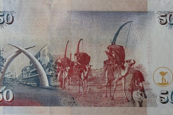 A Kenyan 50-shilling banknote, representing the country’s growing pension assets.