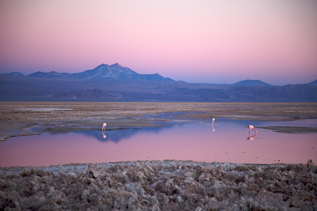 The Salar de Atacama salt flat in northern Chile at dusk, illustrating the lithium market wrap