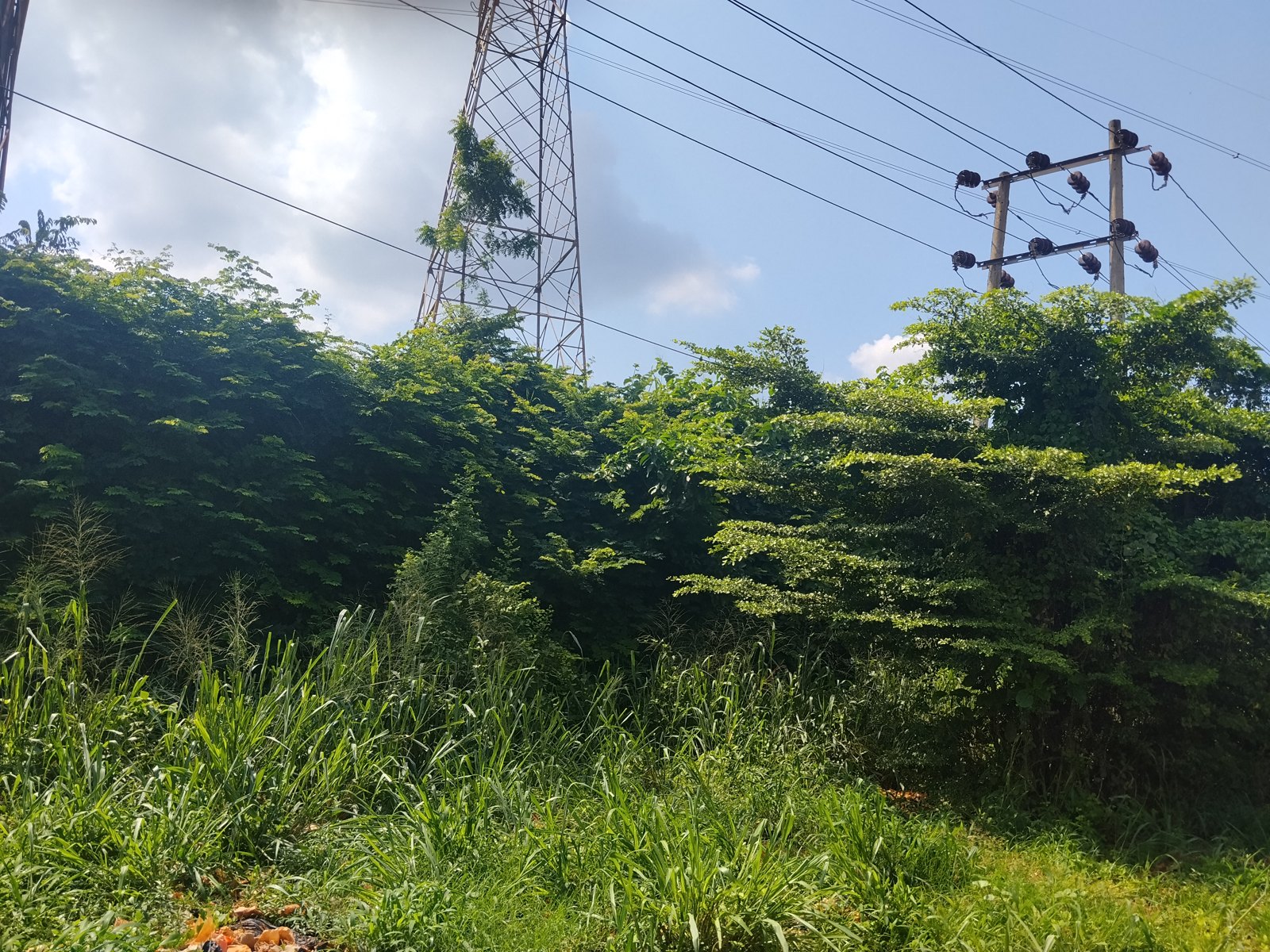 Electricity transmission lines, illustrating the Kaduna Electric board dissolution