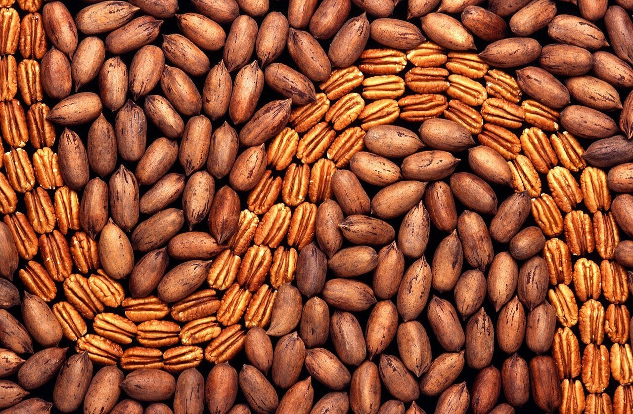 China Pecan Tariffs: Mexico and US Face New Cash Deposits