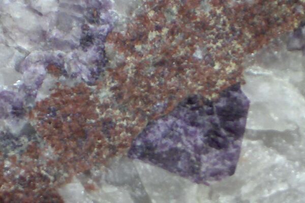 Rare-earth ore specimen with purple mineral crystals in pale rock