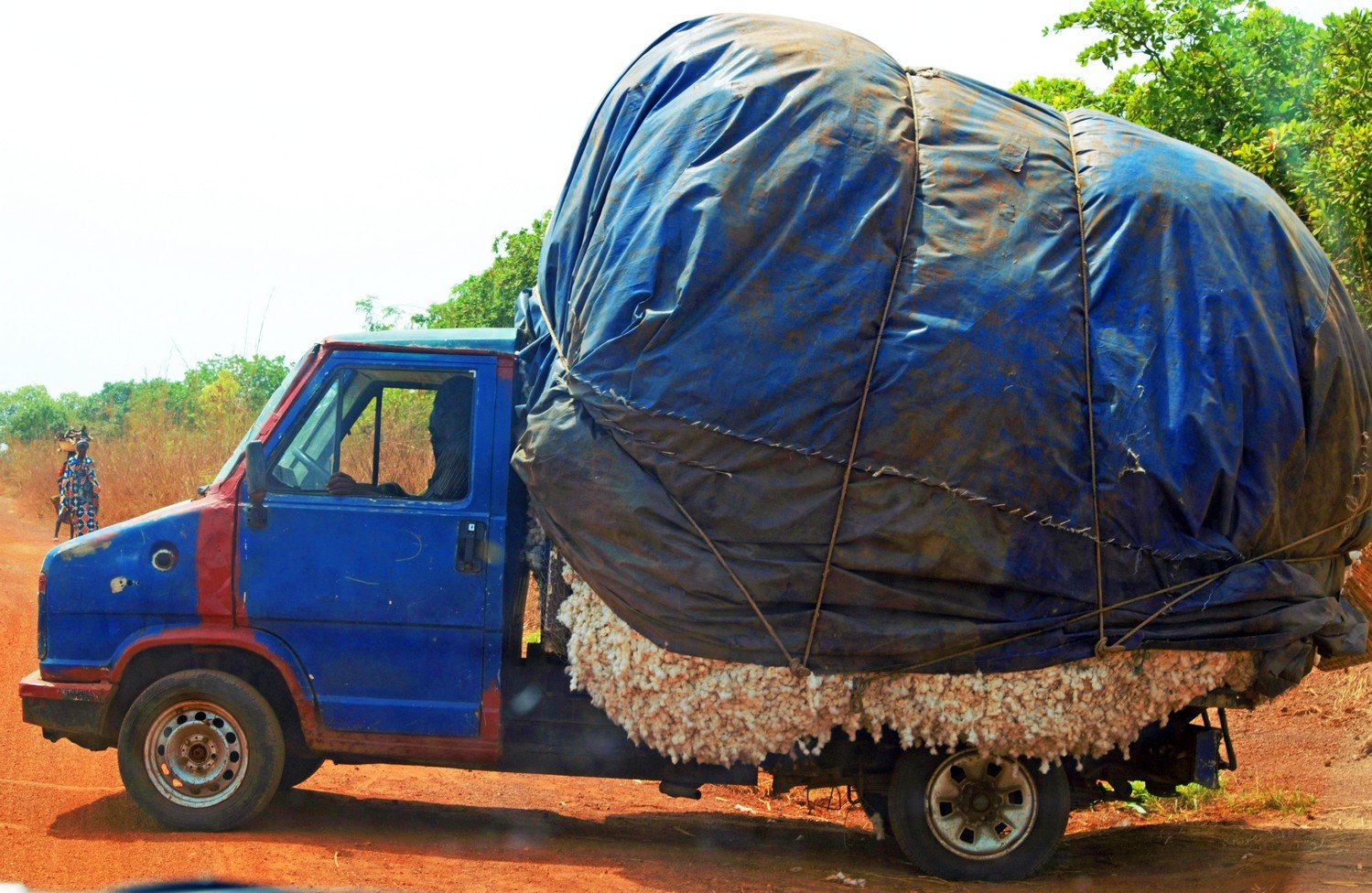 cotton industrialisation plan - raw cotton transported from farm to factory in Benin, West Africa