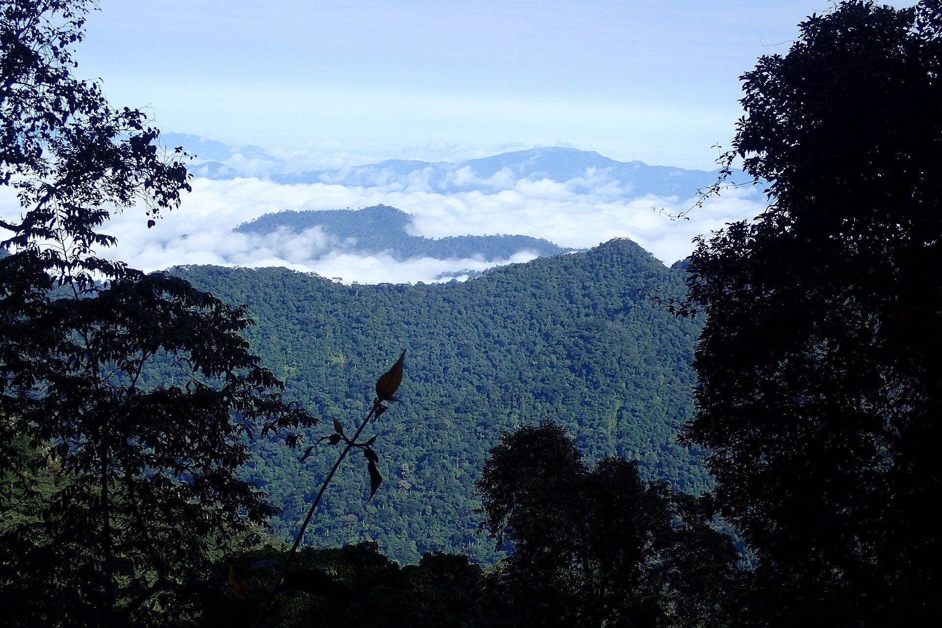 African Forest Investment Roundtable Comes to Lagos, Nigeria