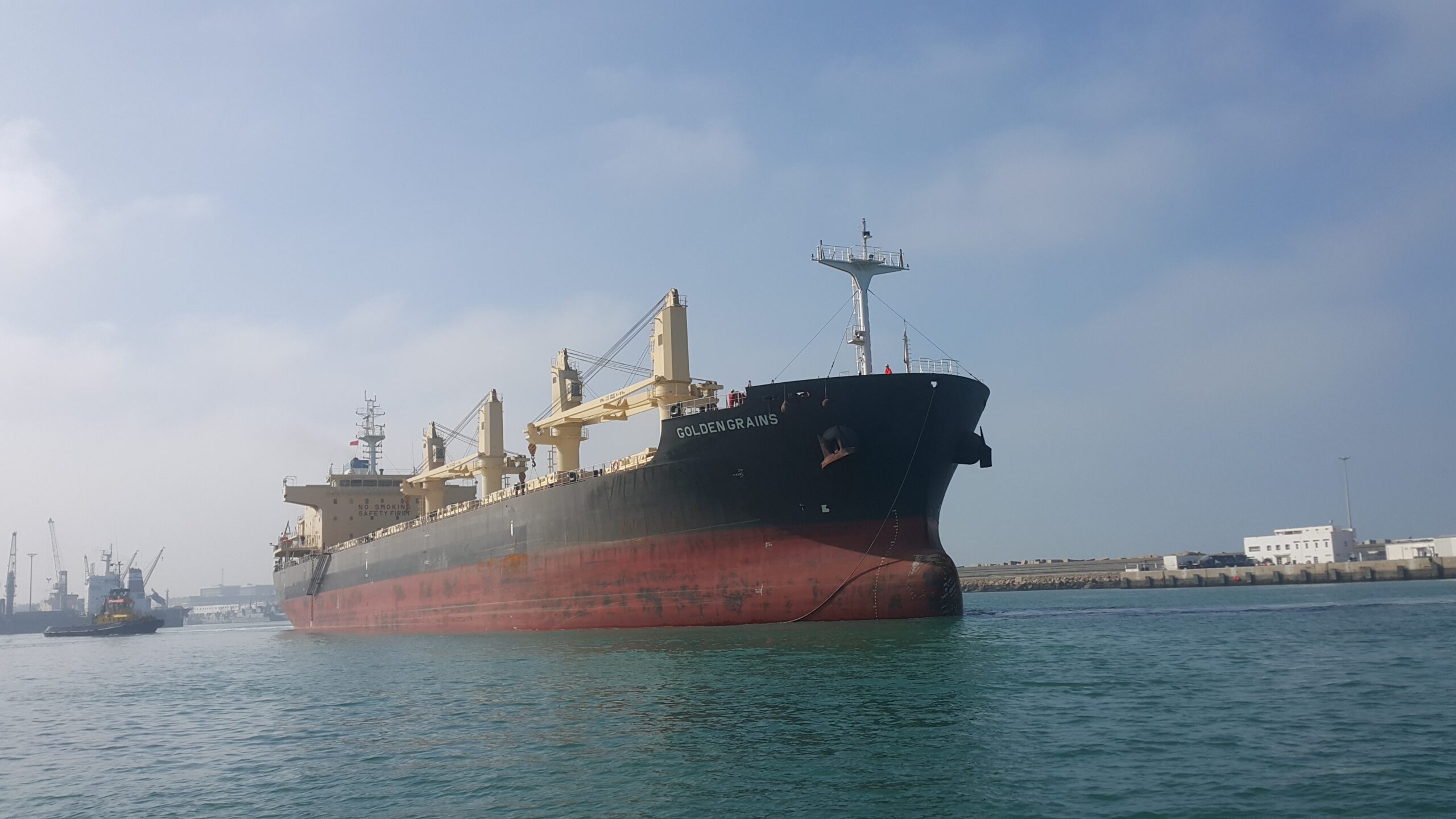 A grain carrier ship at port