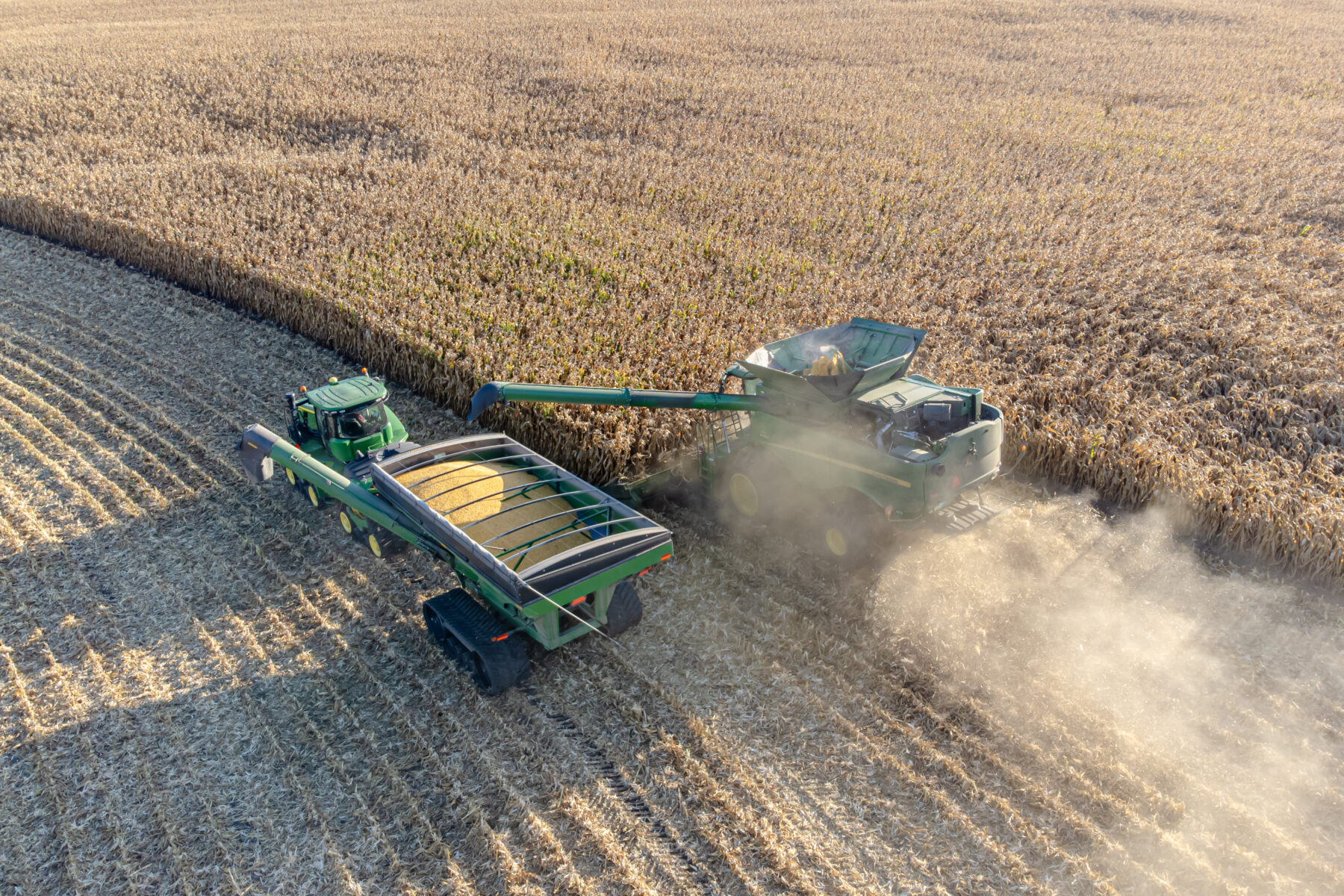 A combine harvester unloading grain