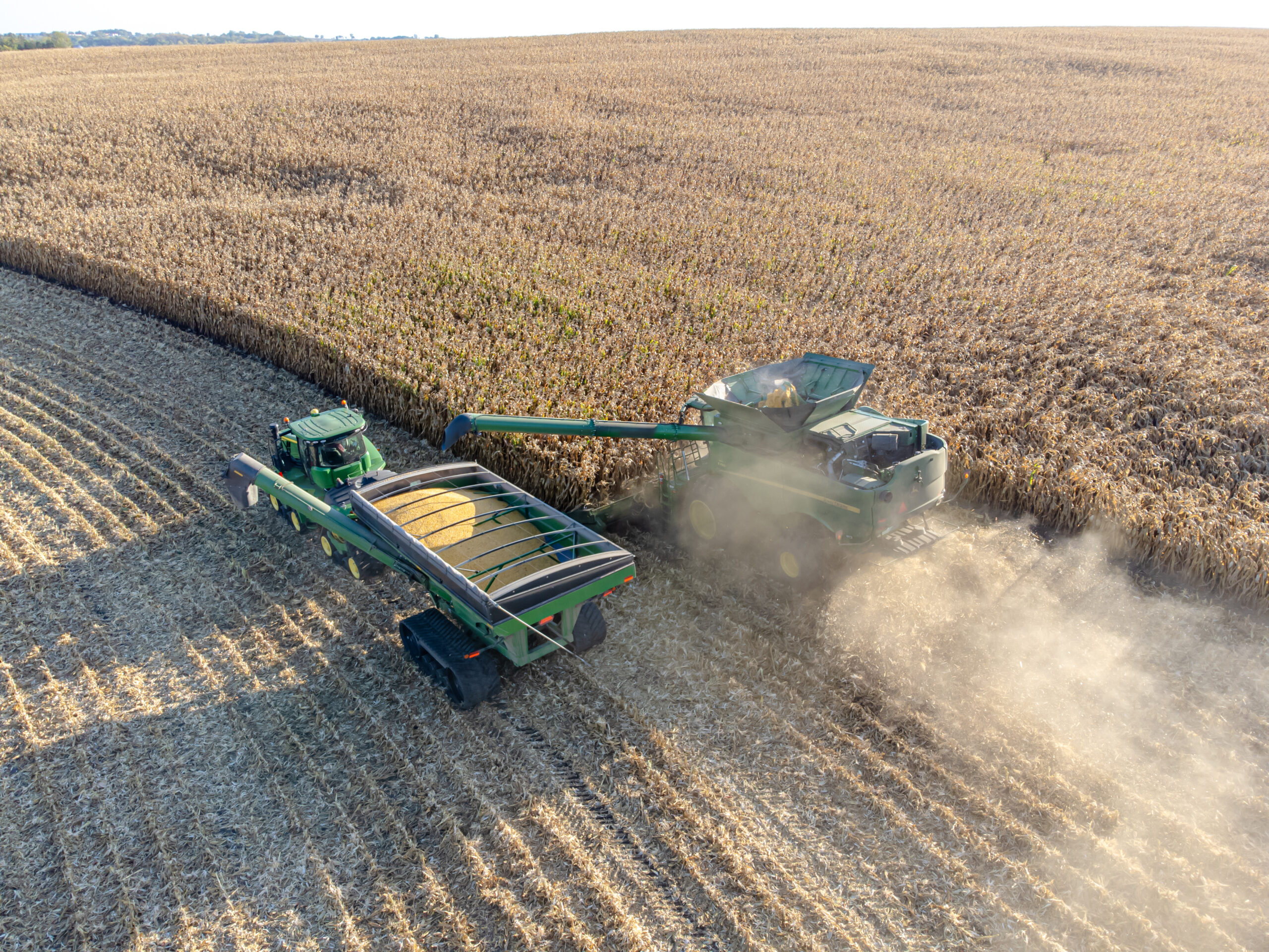 A combine harvester unloading grain