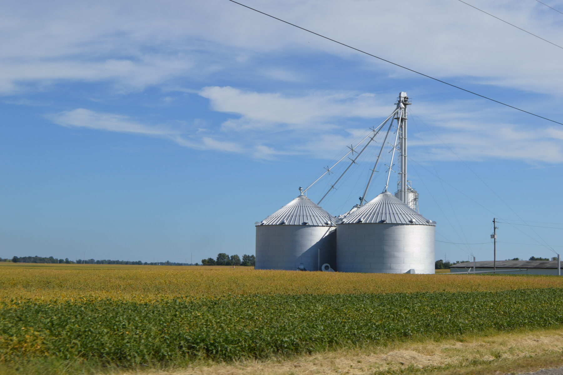 Soybean Arithmetic — soybean farm and grain silos