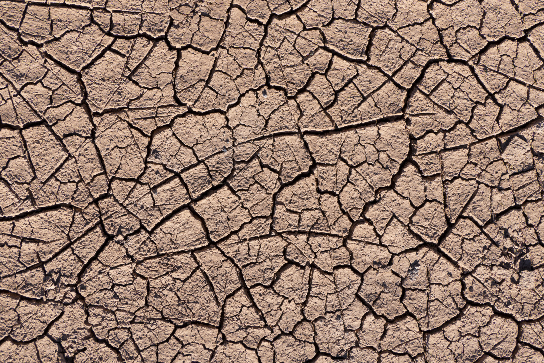 soft-commodity squeeze — cracked drought-hardened soil