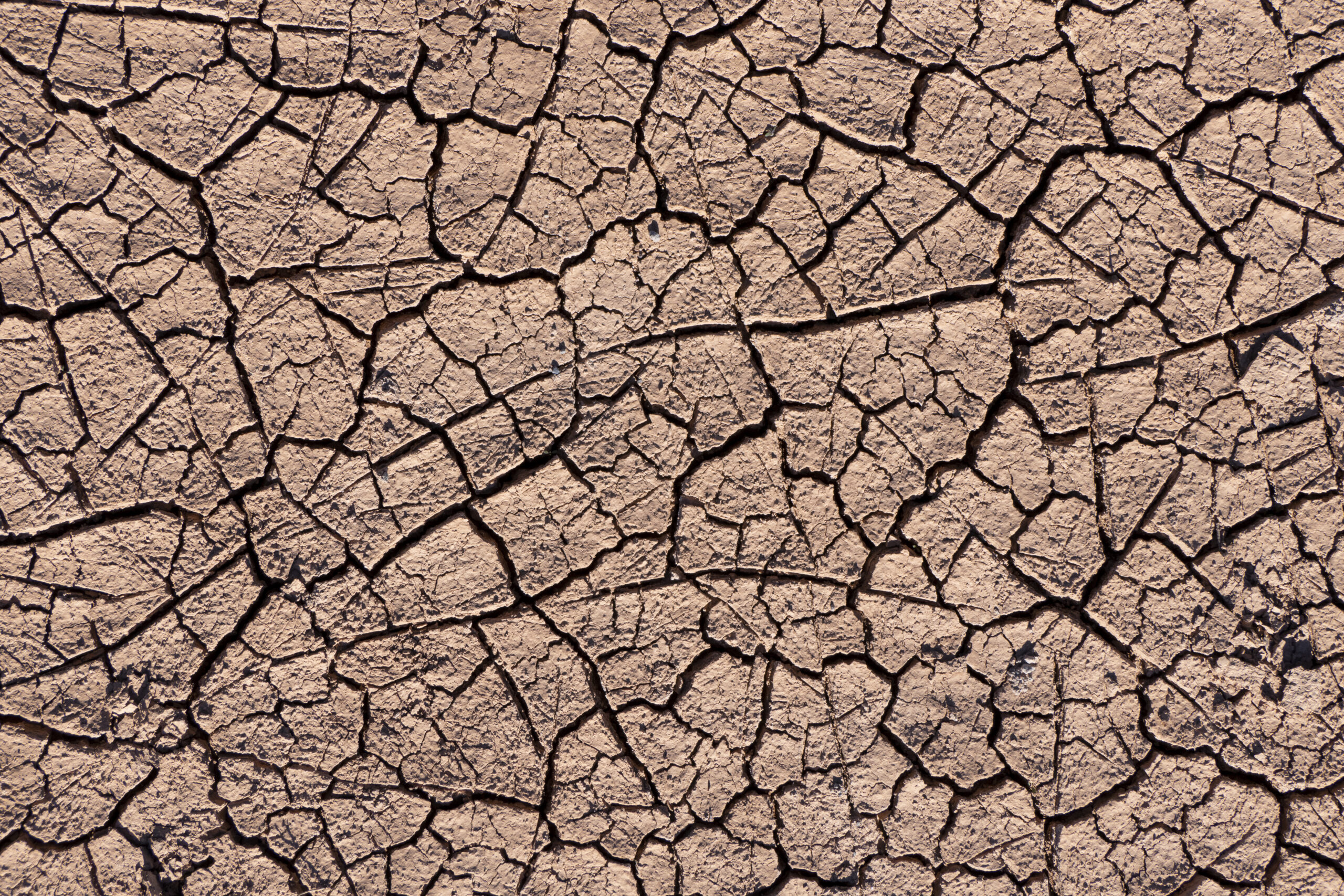 Three Continents, One Harvest: The Soft-Commodity Squeeze Latin America Can’t Ignore