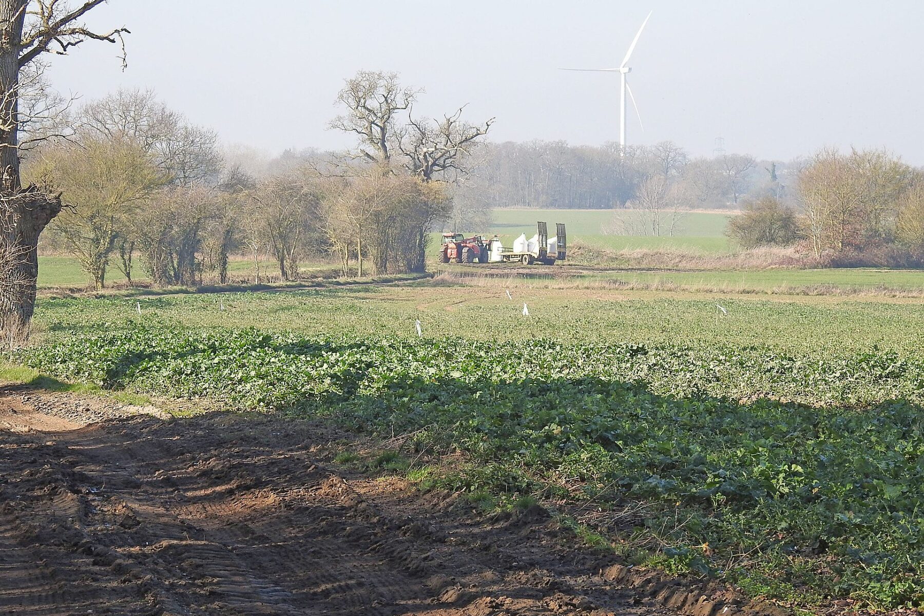 Tractor with fertilizer bags in a field