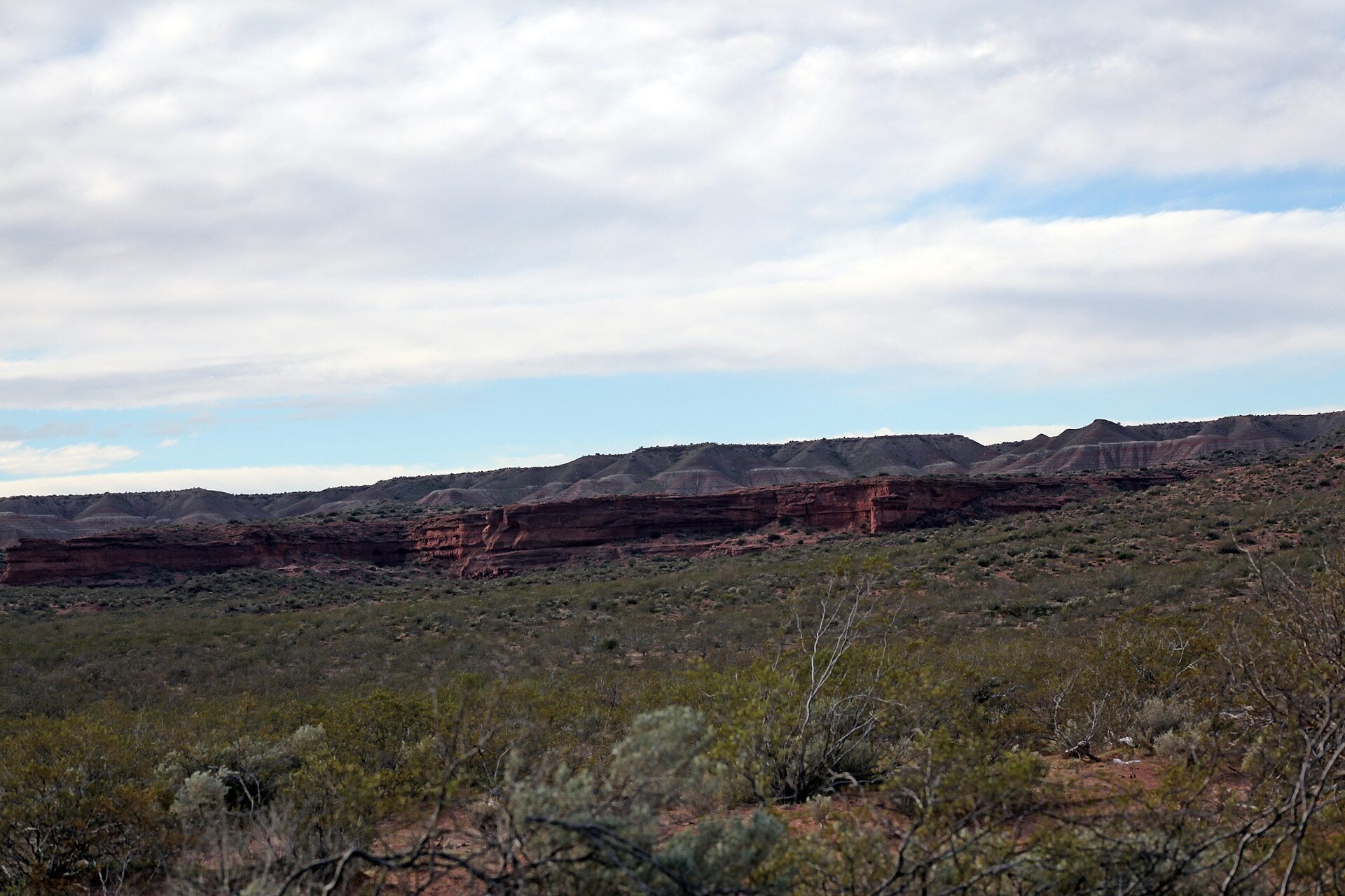 Vaca Muerta - red rock cliffs and scrub in Añelo, Neuquén, Argentina
