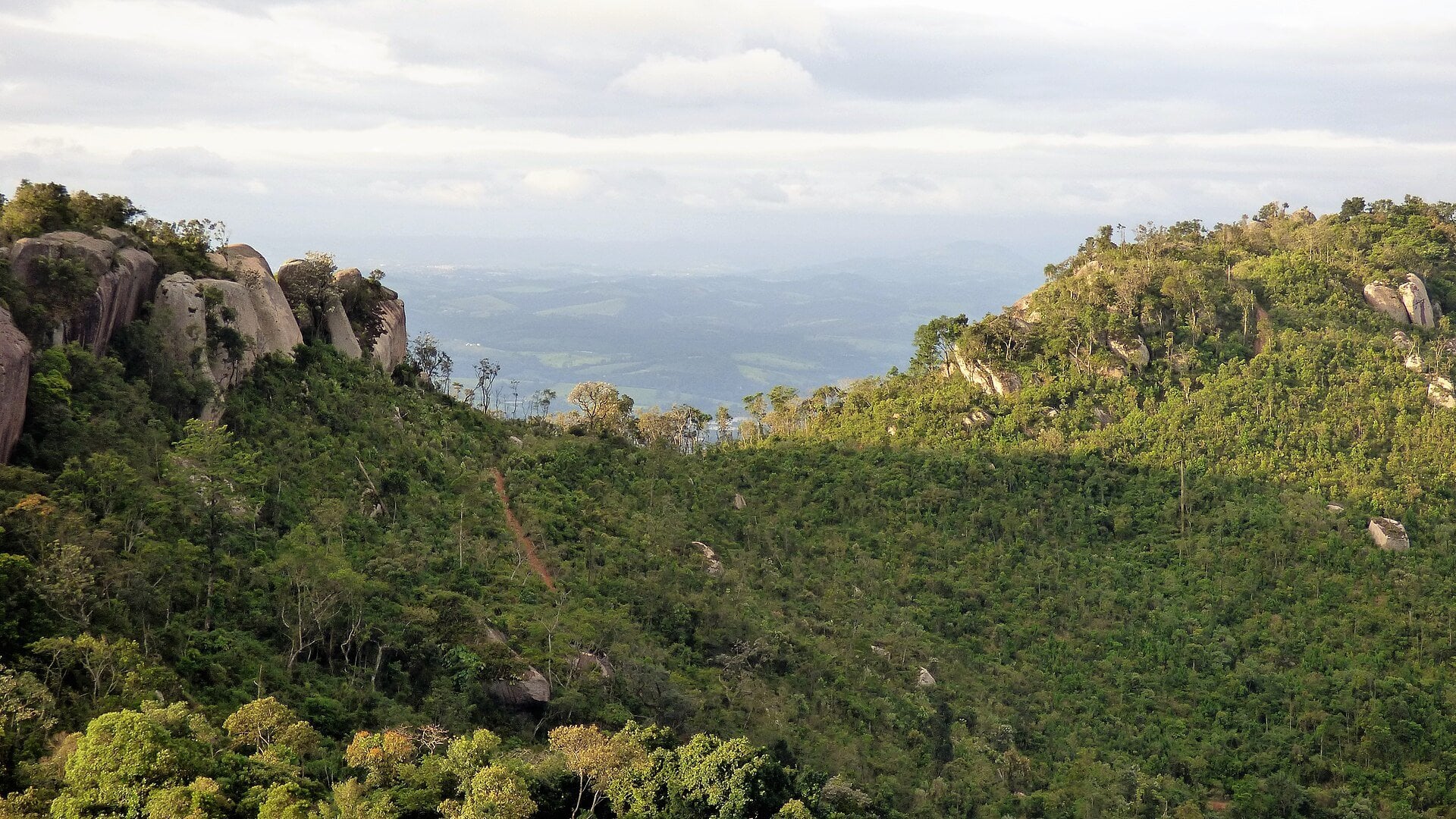 Atibaia Flower Festival Near São Paulo, Brazil: A Day Trip for Flowers and Japanese Culture