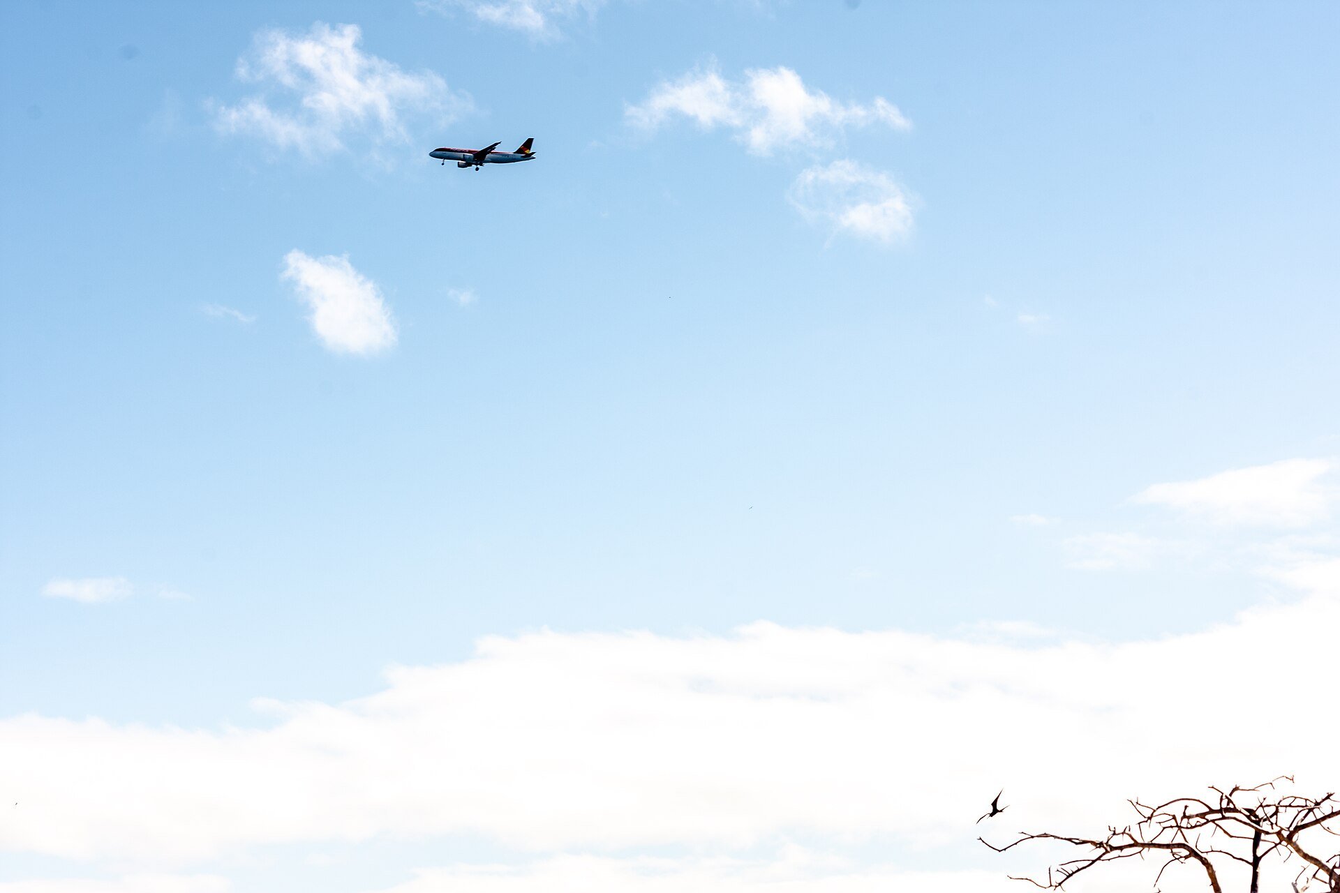 An Avianca aircraft on final approach in a blue sky, tied to the airline's earthquake flexibility waiver for western Colombia.