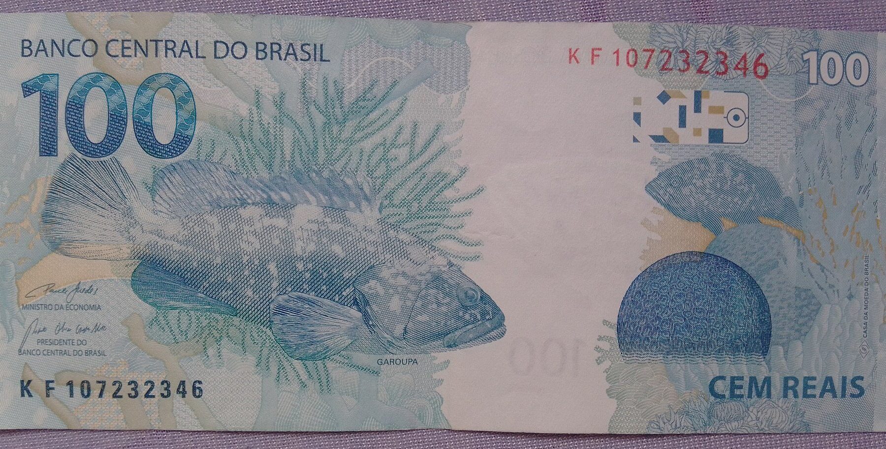 minimum wage - reverse of a Brazilian 100-real banknote