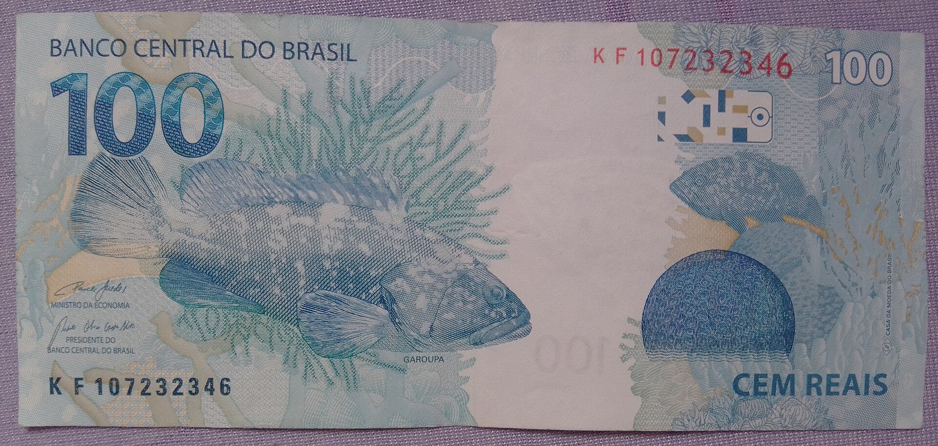 minimum wage - reverse of a Brazilian 100-real banknote