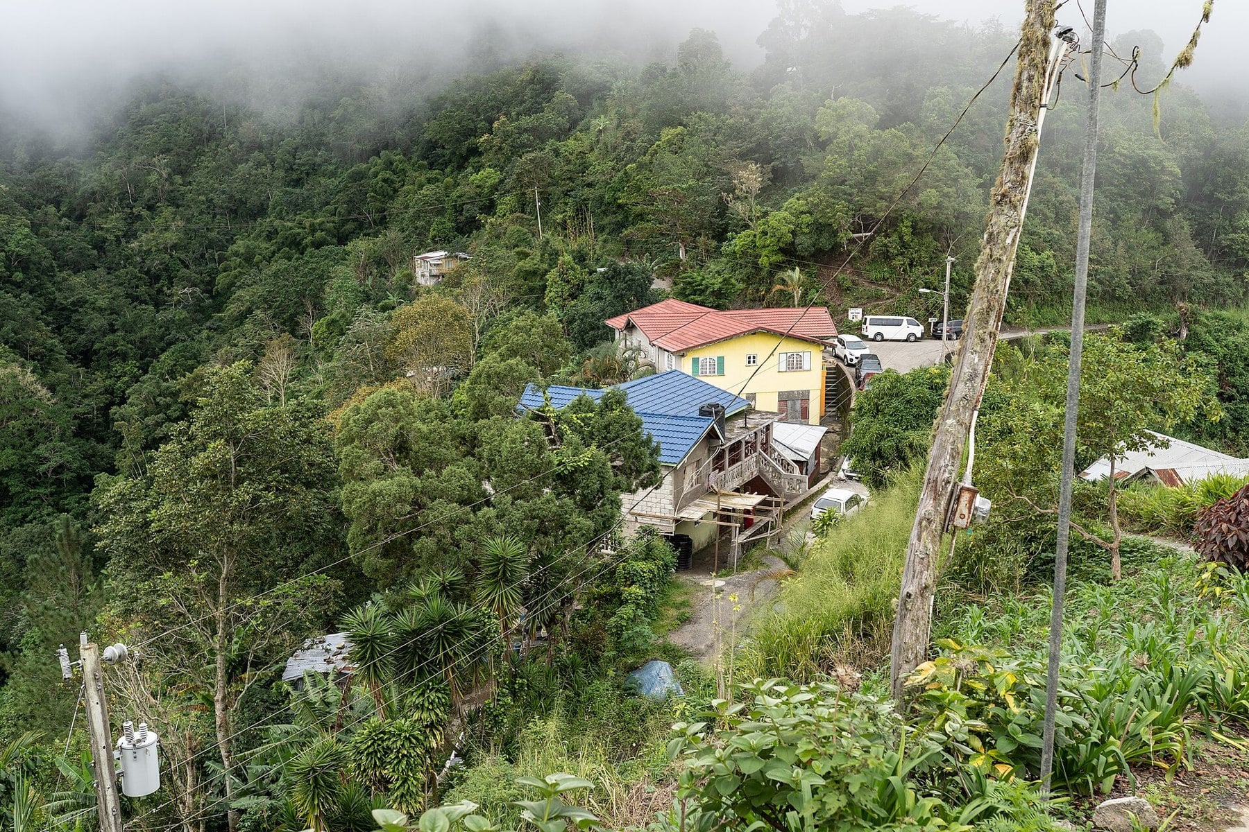 A Blue Mountains village above Kingston, in the catchment that feeds the Hermitage Dam