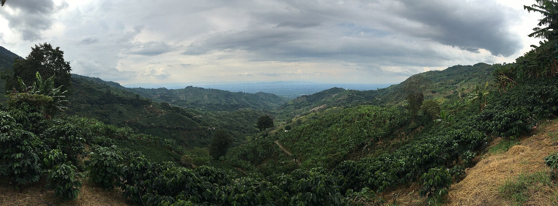 Colombia Road Closures After the Quake: Which Coffee-Region Routes Are Cut, One-Laned, or Reopened