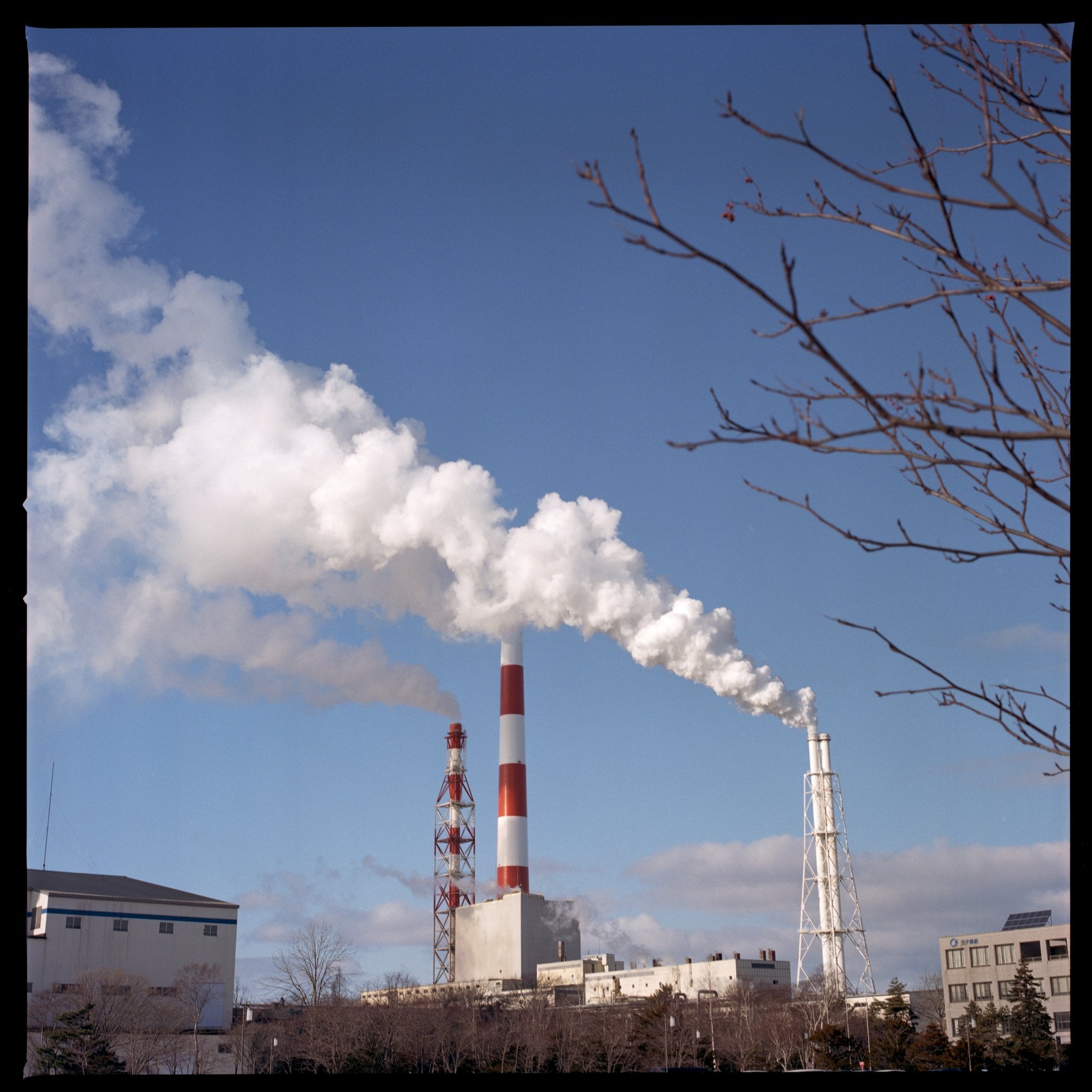 Chilean Giants Team Up to Make Synthetic Fuels From Hydrogen and Pulp-Mill CO2