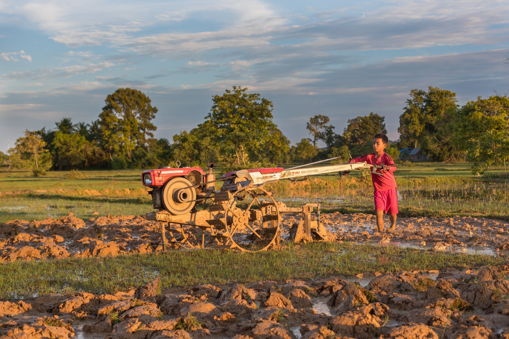 agribusiness insolvencies — a farmer plowing a field with a tractor at sunset