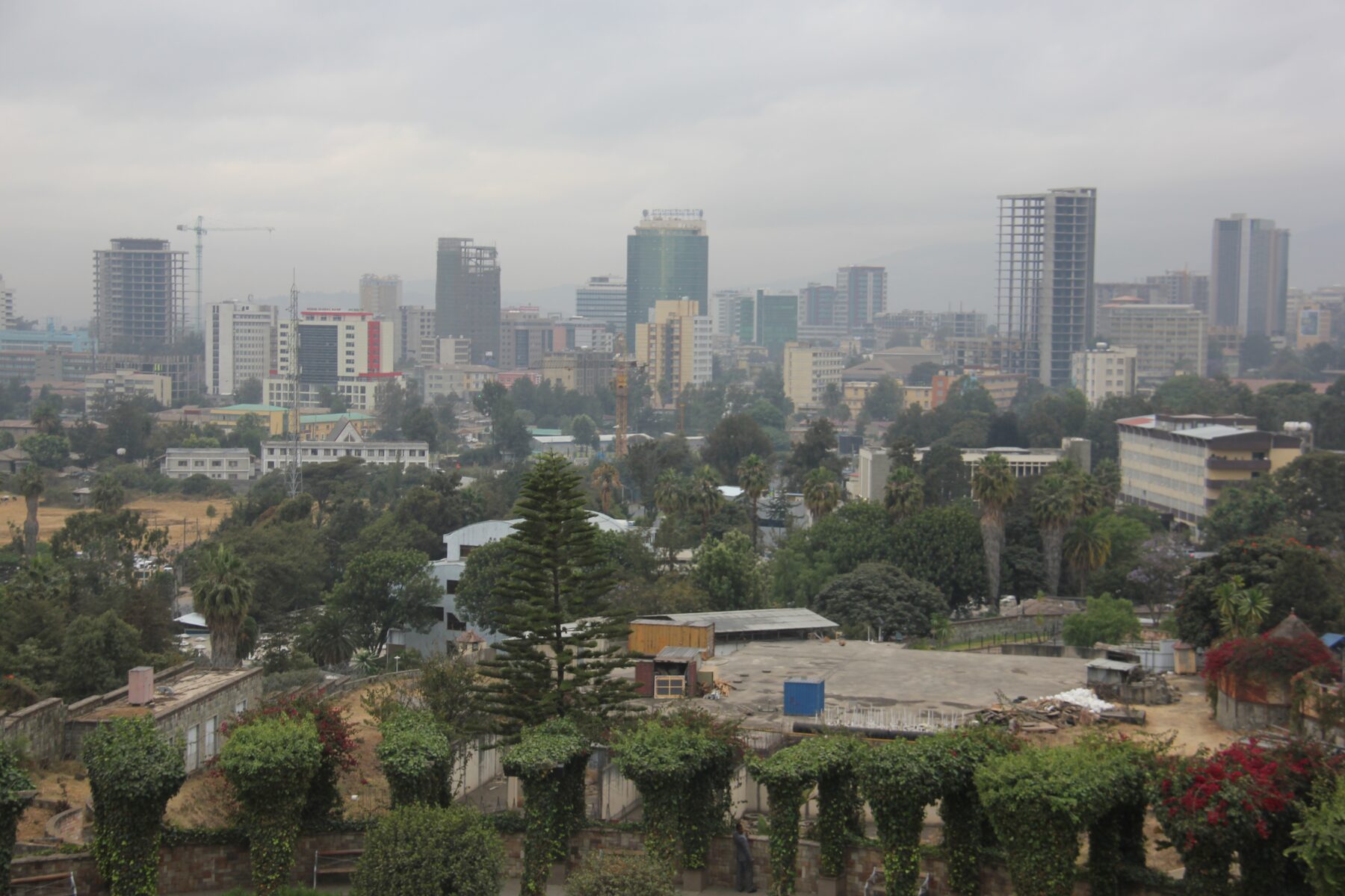 rt_addis