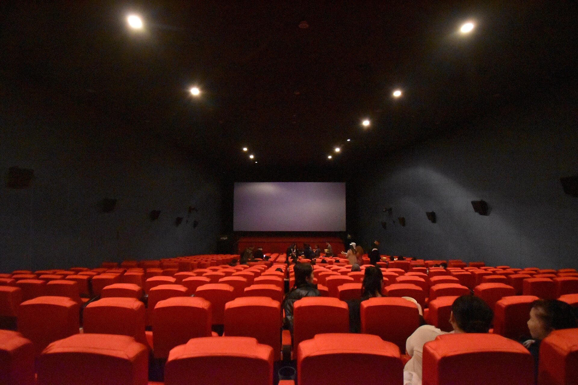 A cinema audience at a screening, evoking the shnit San José short film festival