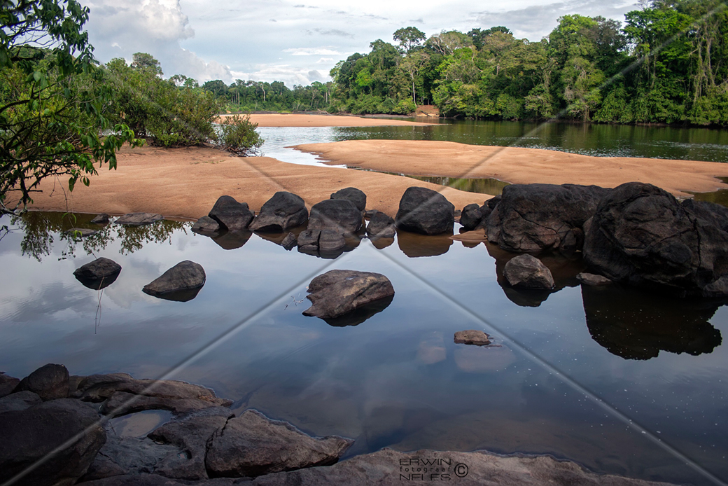 River and rainforest in the interior of Suriname, where Mennonite settlers face eviction
