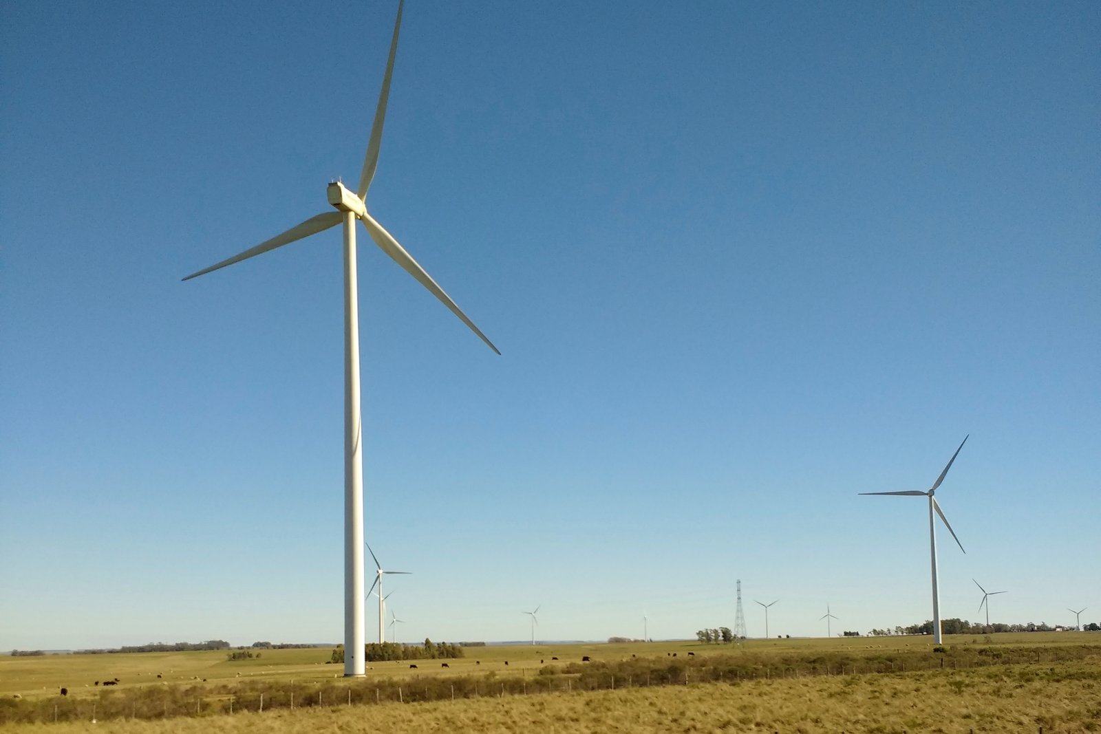 Wind turbines turning above pasture land in northern Uruguay
