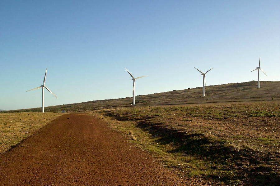 A wind farm on the South African highveld.