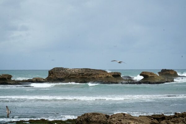 The Atlantic shore at Essaouira, near the Mogador resort site