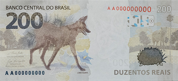 Brazil Markets: Ibovespa & the Real — August 11, 2026