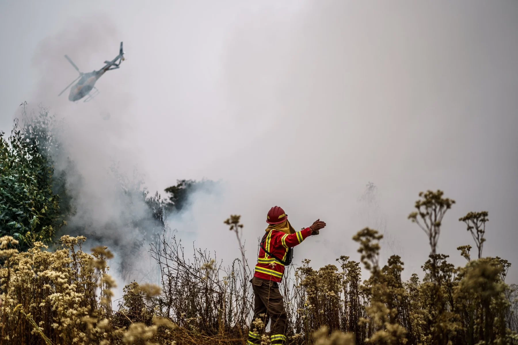2024_02_04-Chile-wildfires-Presidencia-de-Chile