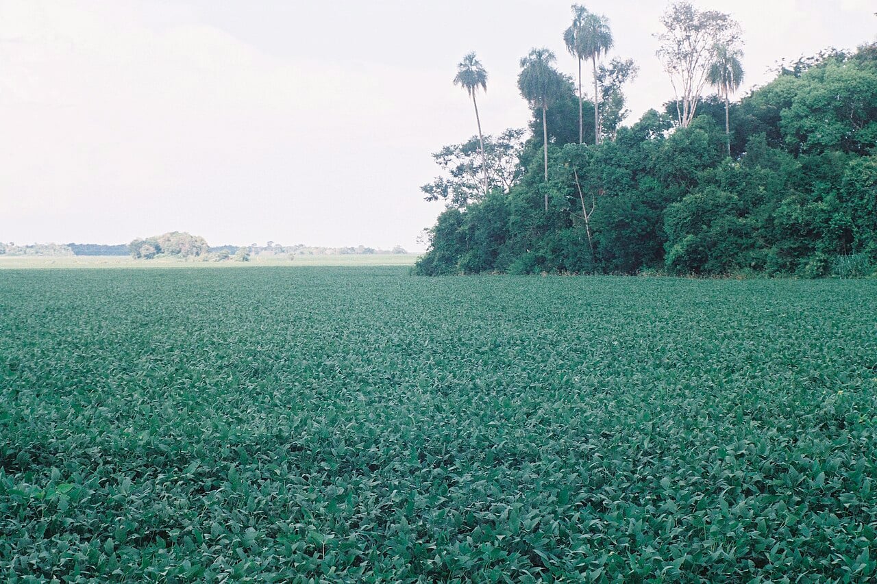 Soybean fields and grain silos in rural Paraguay