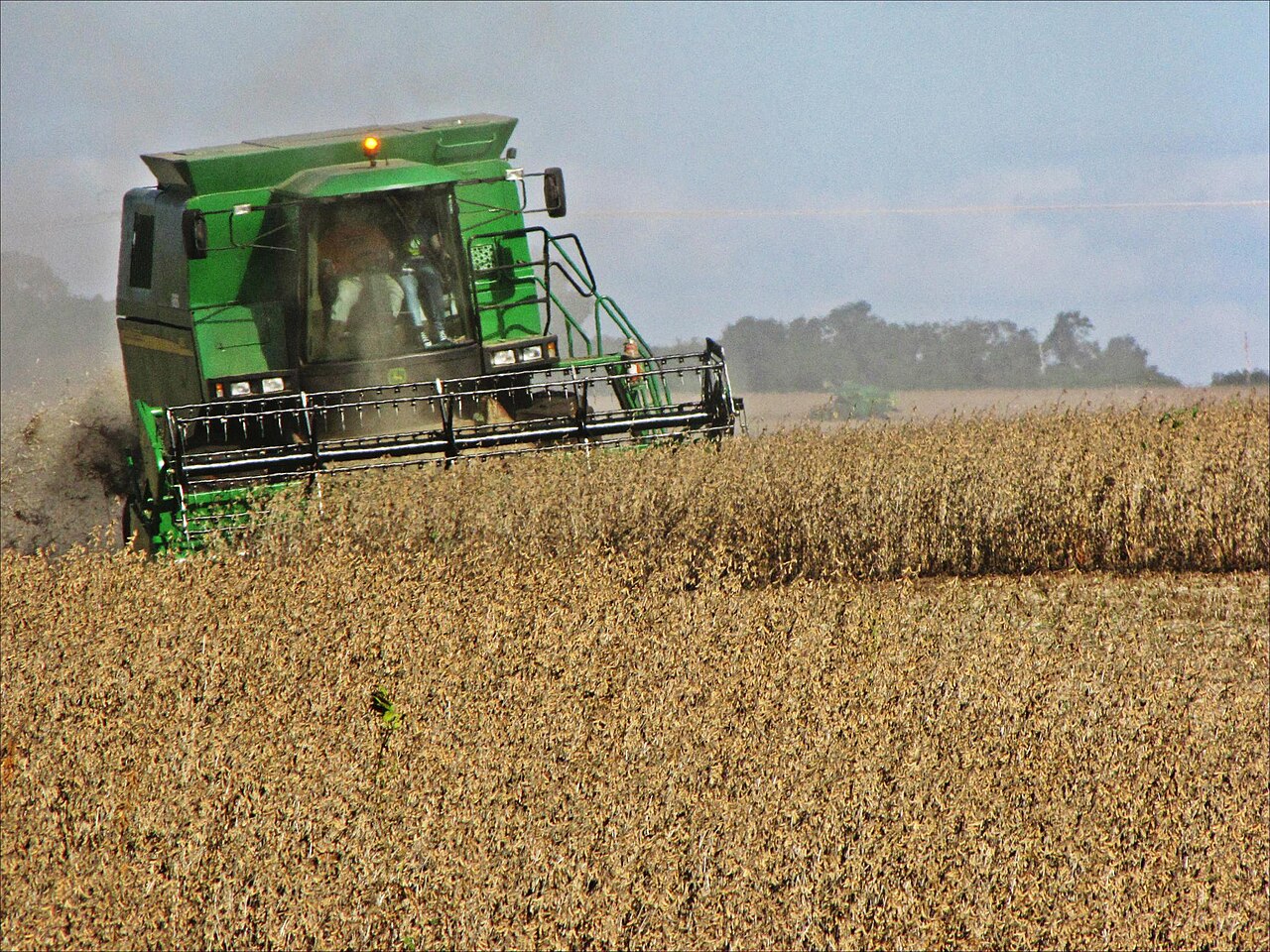Soybeans on a farm in Brazil, the crop that helped lift the country's economy this quarter