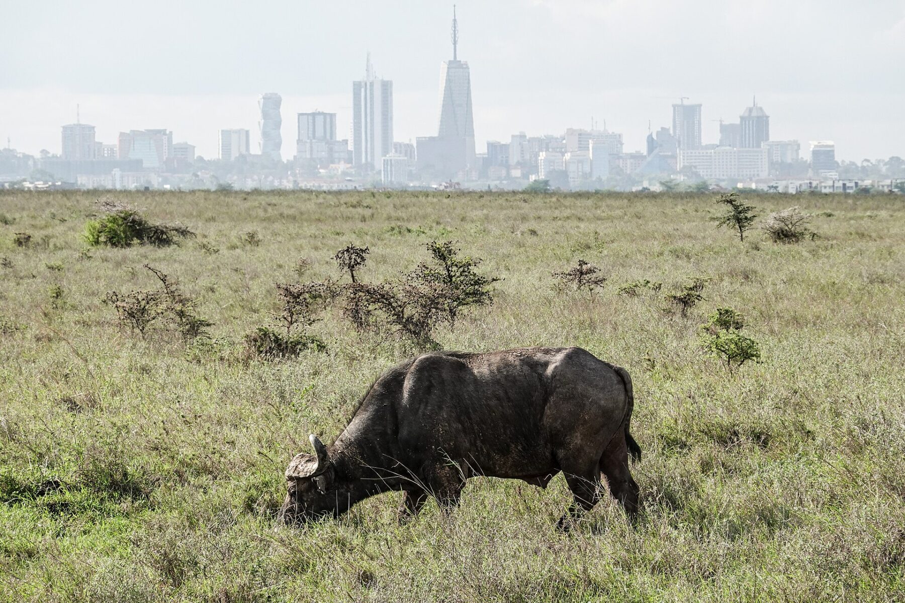The Kenya Pipeline IPO Cleared. Foreign Buyers Took 0.15% of Their Slice